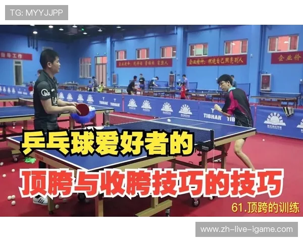 乒乓球技巧与训练方法全面解析提高水平的科学路径和实用技巧