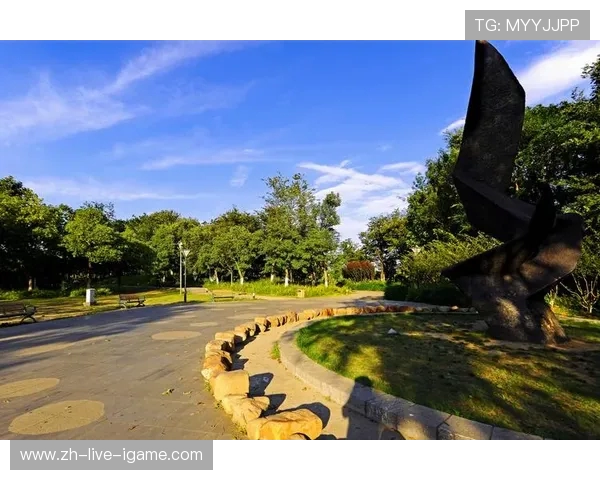 南京极限运动队灵活性分析与表现评估的深入研究与探讨