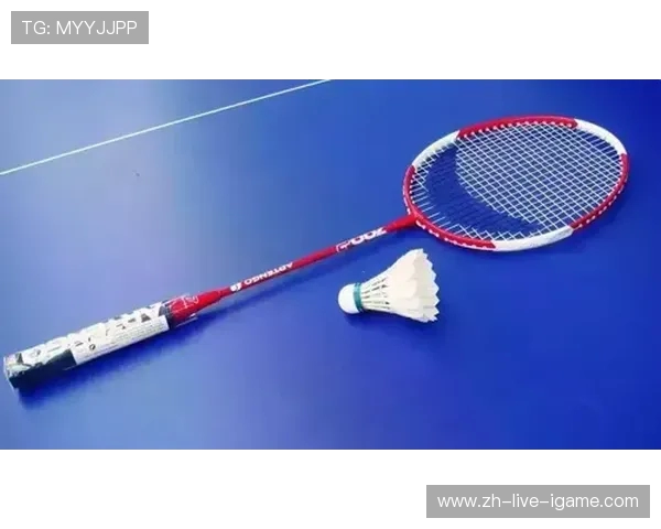 排球装备选购指南：如何挑选适合你的排球拍与配件建议