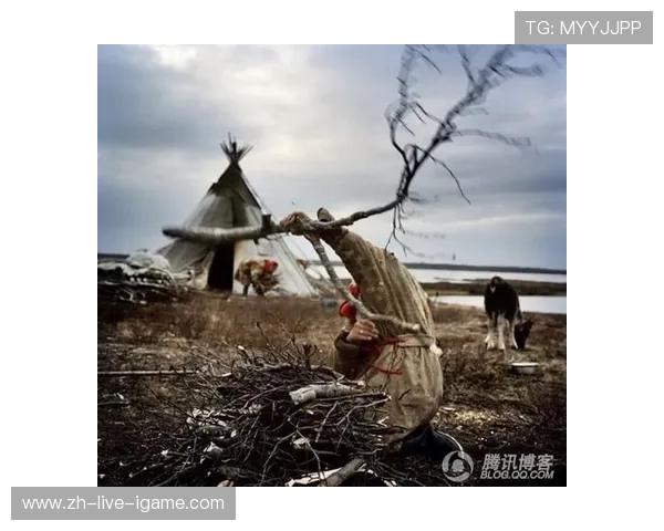 亚马尔地区的能源开发与国际合作前景分析与展望 亚马尔地区的能源开发与国际合作前景分析与展望