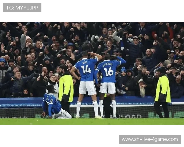 切尔西与埃弗顿英超1415赛季精彩对决回顾与分析